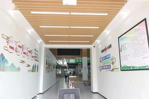 為我市候選‘十大民心工程’信息咨詢服務項目投上寶貴一票