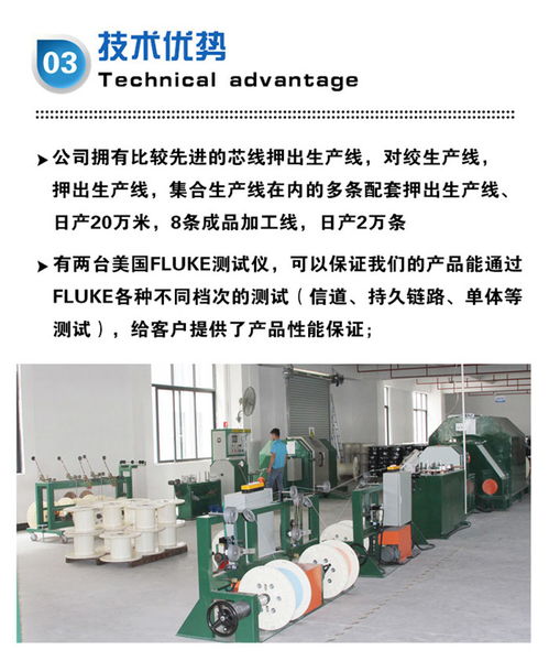 高效專業 東莞八芯網線生產工廠的快速發貨與咨詢服務